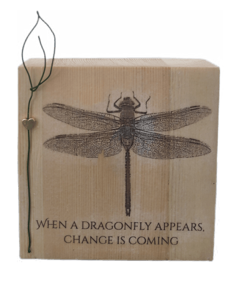 היצירה מוכנה תמונה 1