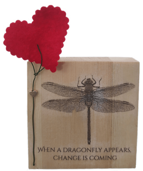  יצירה עם פוטו טרנספר ועוד נגיעה קטנה